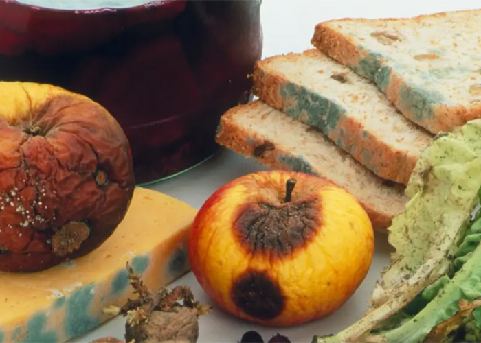 上海過期食品銷毀制度 上海過期食品銷毀制度